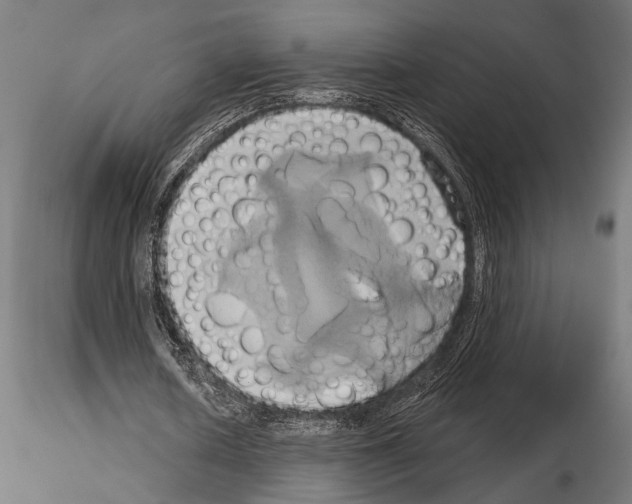 X0000115170626200912091024