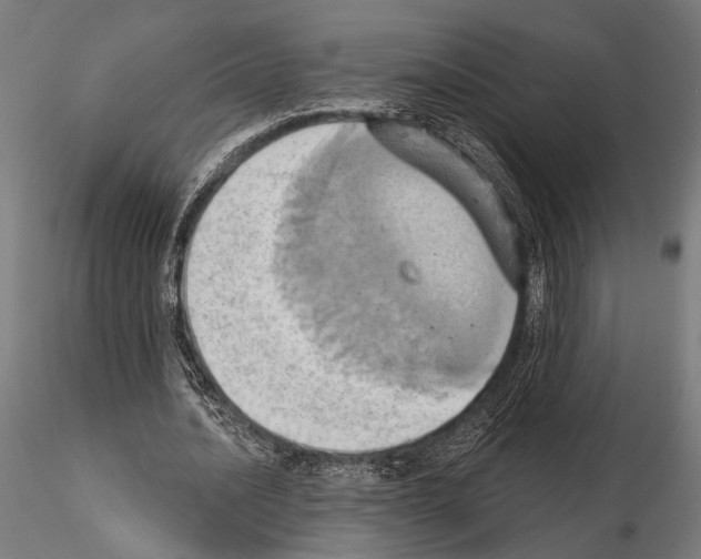 X0000115170628200912091024