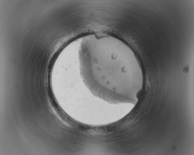 X0000115170630200912091024