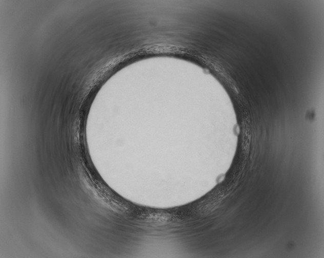 X0000115170631200912091024