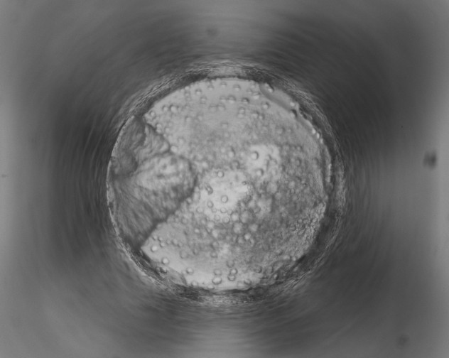 X0000115170633200912091024