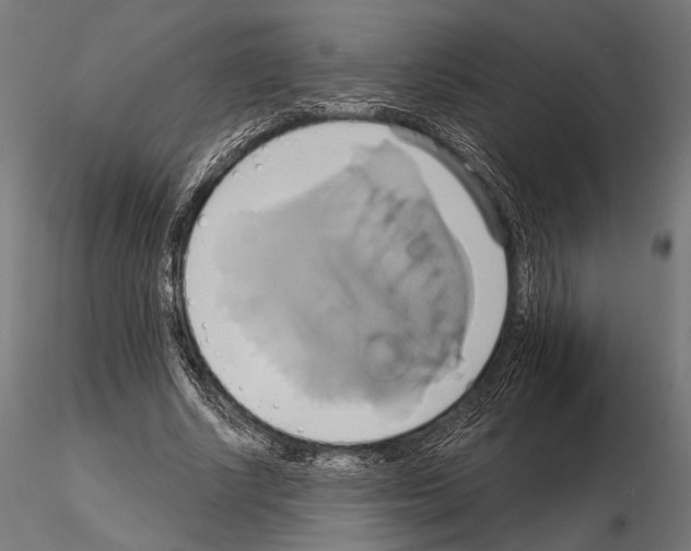 X0000115170634200912091024