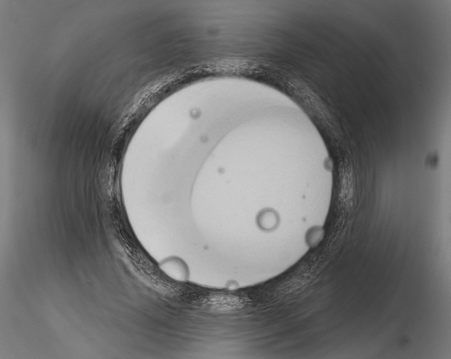 X0000115170636200912091024