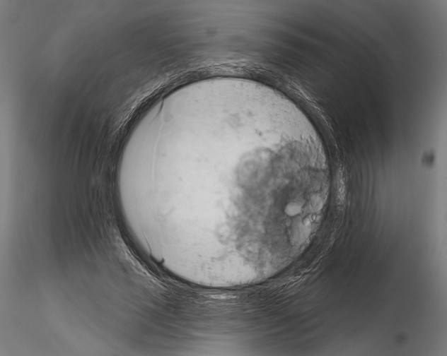 X0000115170637200912091024