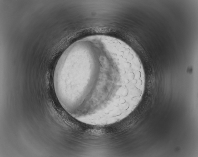 X0000115170639200912091024