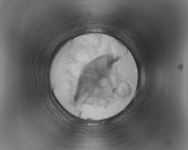 X0000115170641200912091024