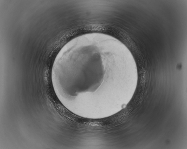 X0000115170643200912091024