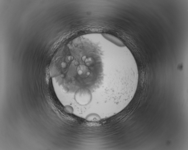 X0000115170644200912091024