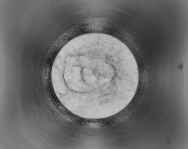 X0000115170645200912091025