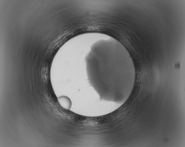 X0000115170648200912091025