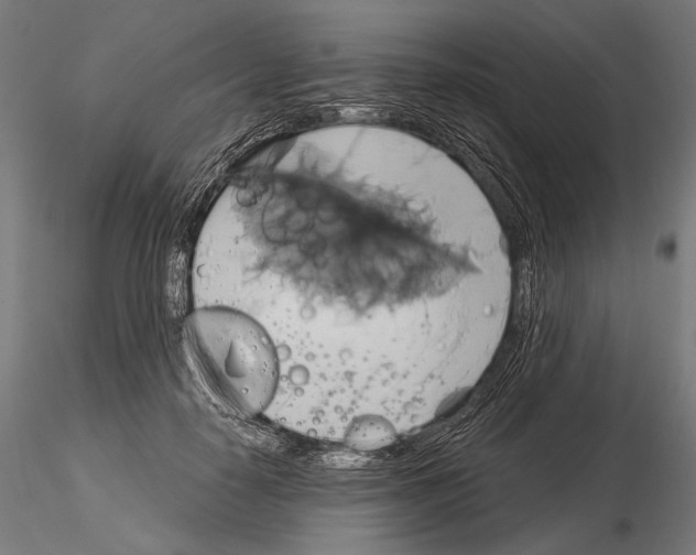 X0000115170650200912091025