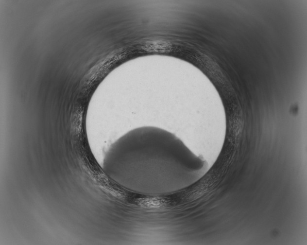 X0000115170652200912091025