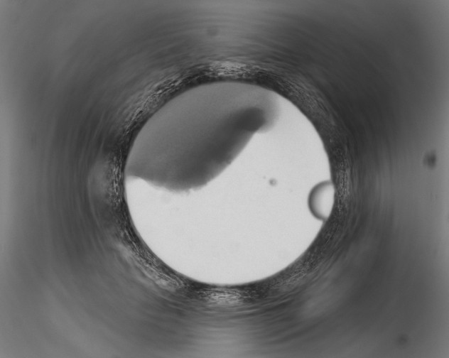 X0000115170653200912091025