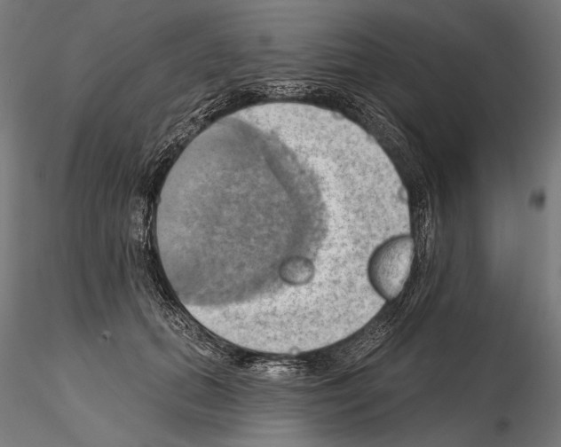 X0000115170655200912091025