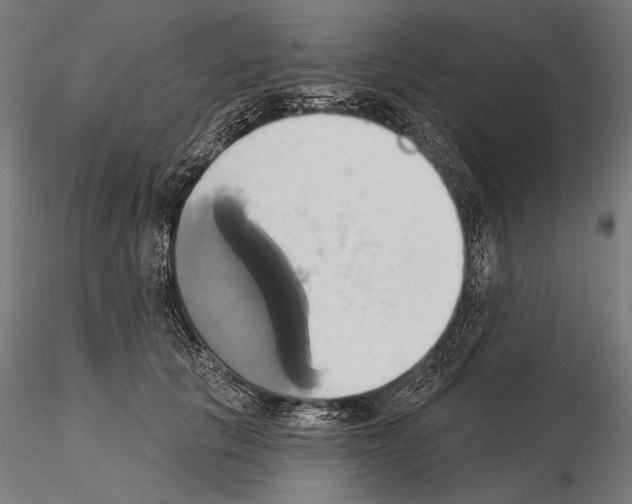 X0000115170657200912091025