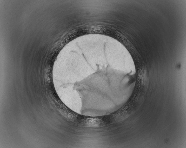 X0000115170663200912091025