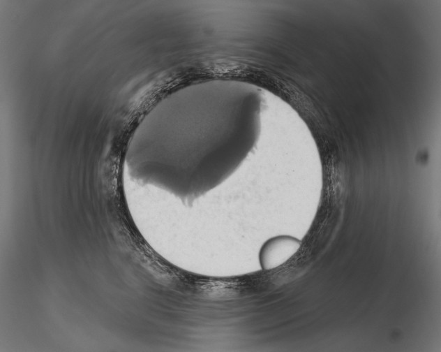 X0000115170664200912091025