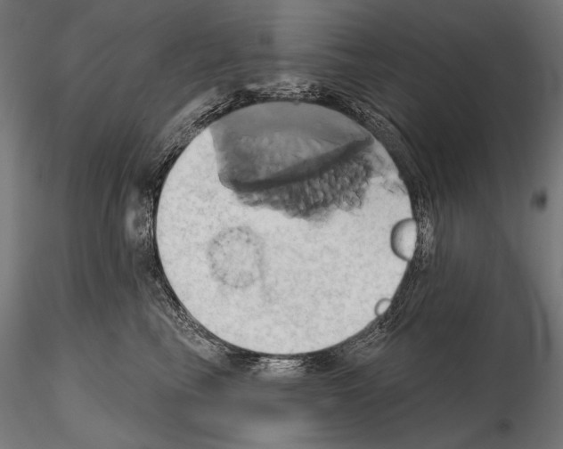 X0000115170665200912091025