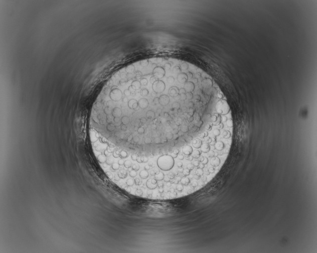 X0000115170666200912091025