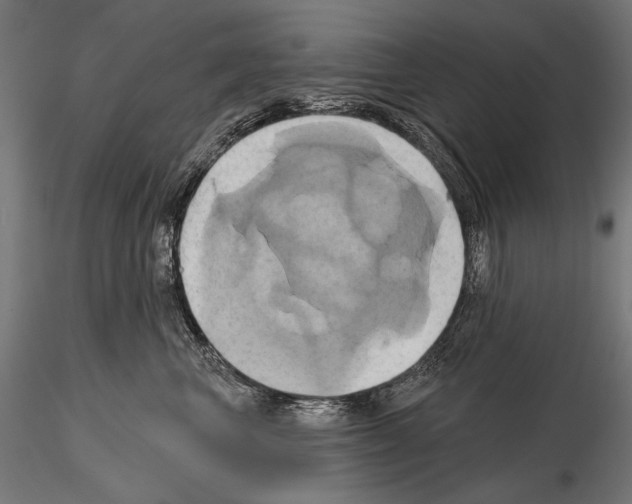 X0000115170667200912091025