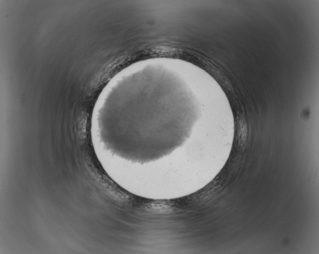 X0000115170668200912091025