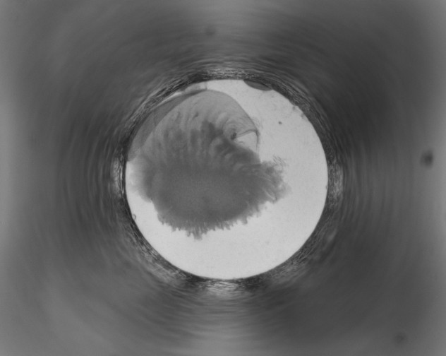 X0000115170669200912091025