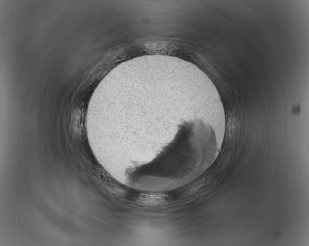 X0000115170671200912091025