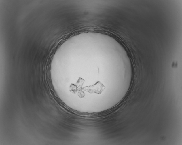 X0000115170672200912091025