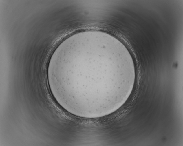 X0000115170673200912091024