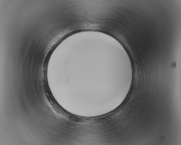 X0000115170674200912091024