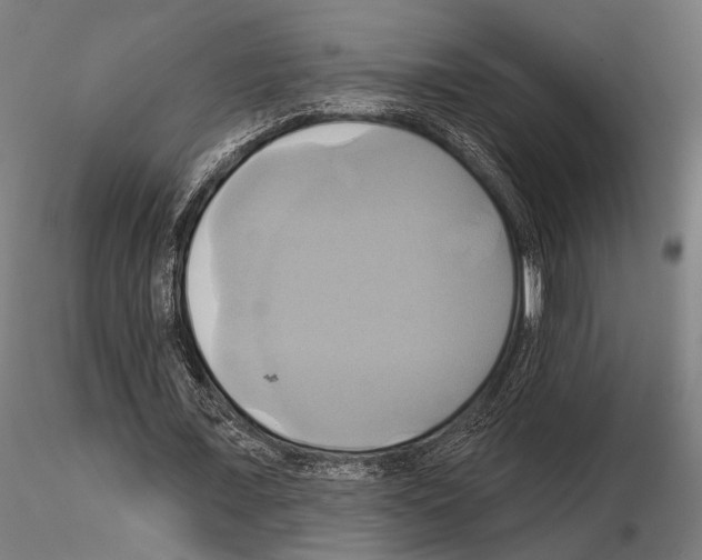 X0000115170675200912091024