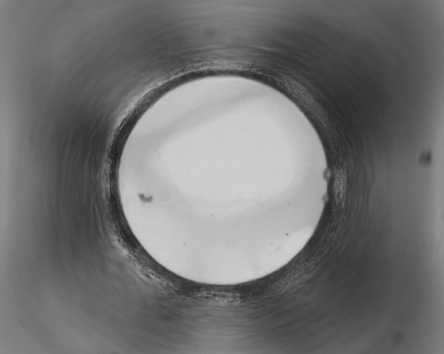 X0000115170676200912091024