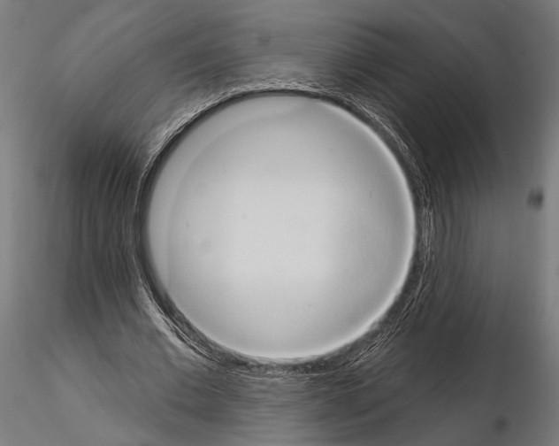 X0000115170677200912091024