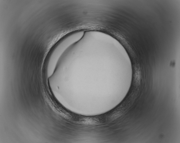 X0000115170678200912091024