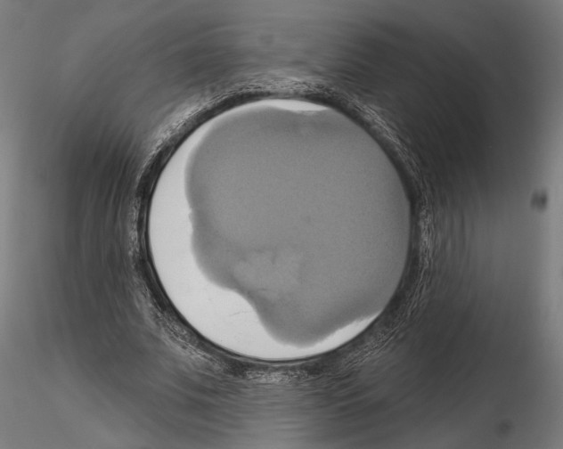 X0000115170679200912091024