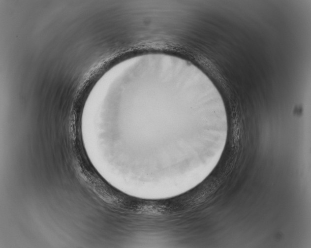 X0000115170680200912091024