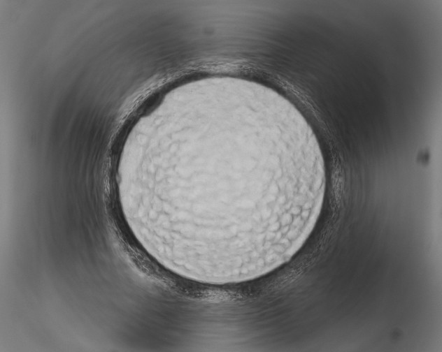 X0000115170682200912091024