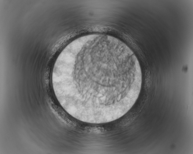 X0000115170683200912091024