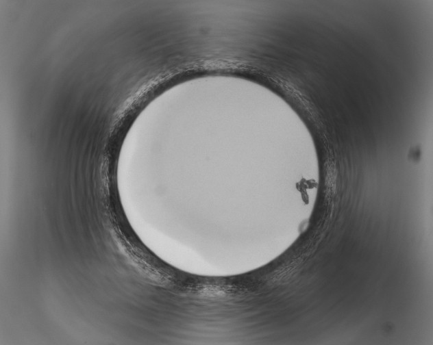 X0000115170684200912091024