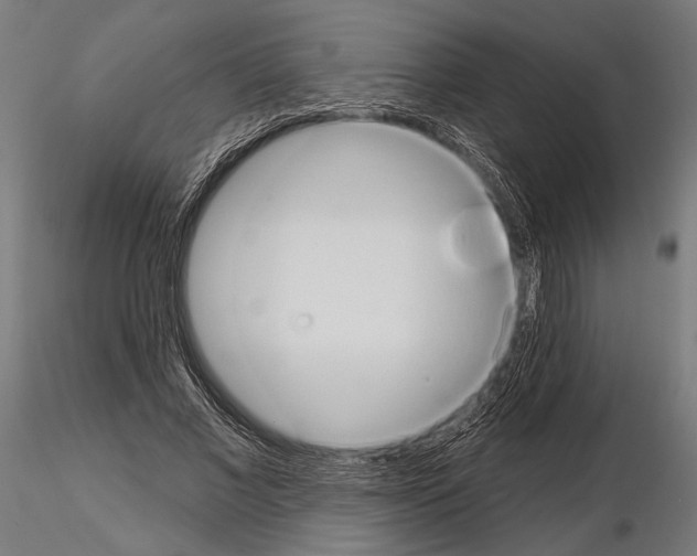 X0000115170685200912091024