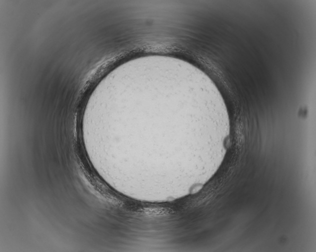 X0000115170686200912091024