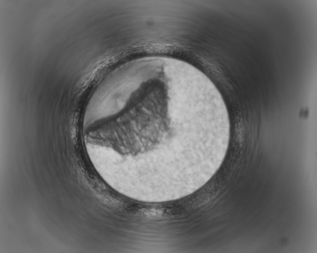 X0000115170687200912091024