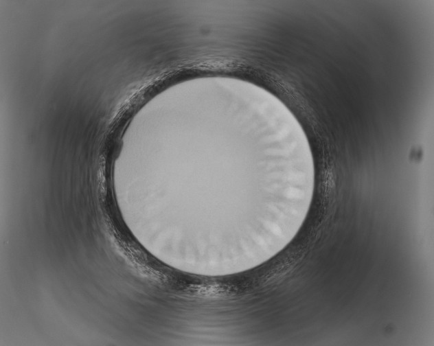 X0000115170688200912091024