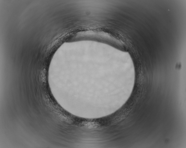 X0000115170689200912091024