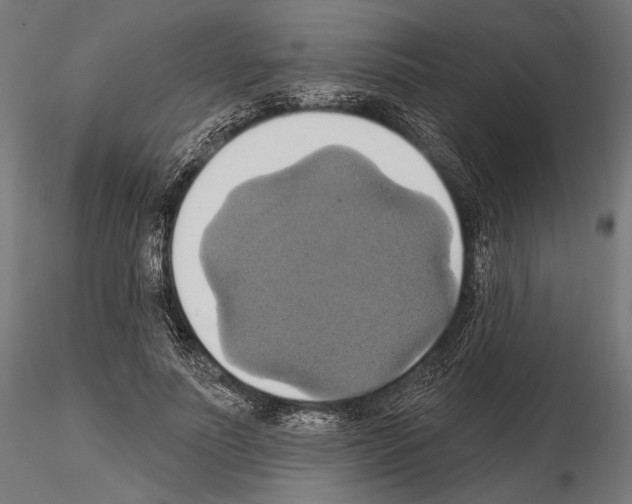 X0000115170691200912091024