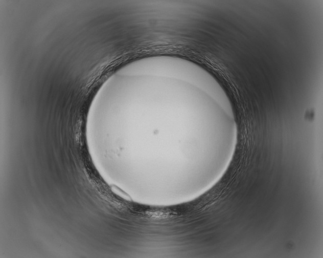 X0000115170693200912091024