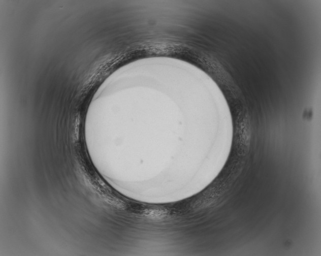 X0000115170694200912091024