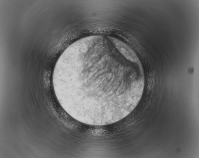 X0000115170695200912091024