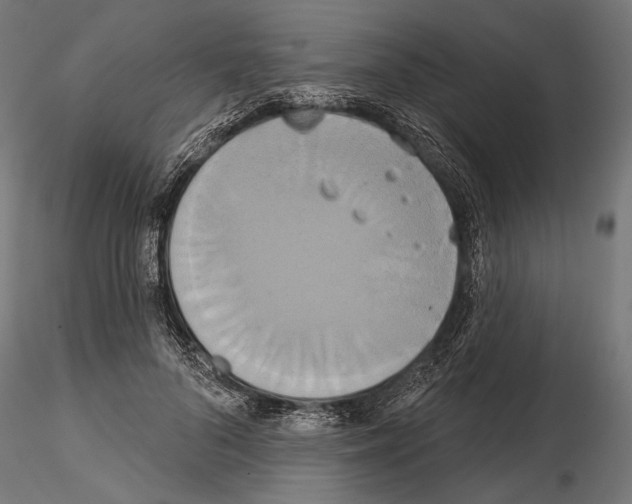 X0000115170696200912091024