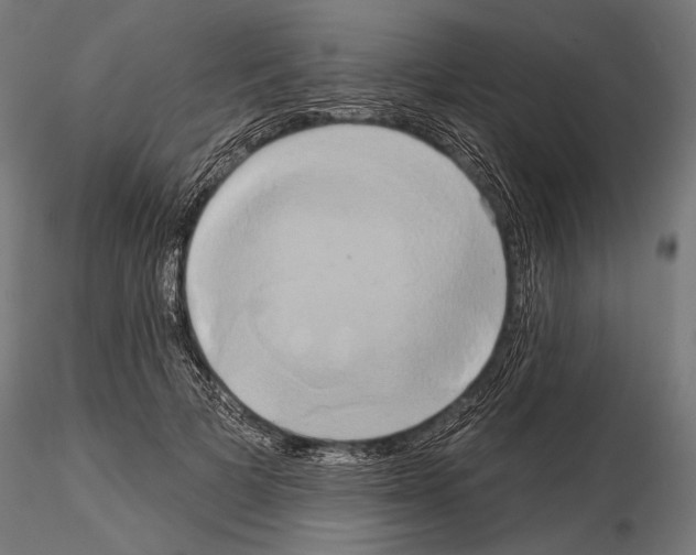 X0000115170697200912091024